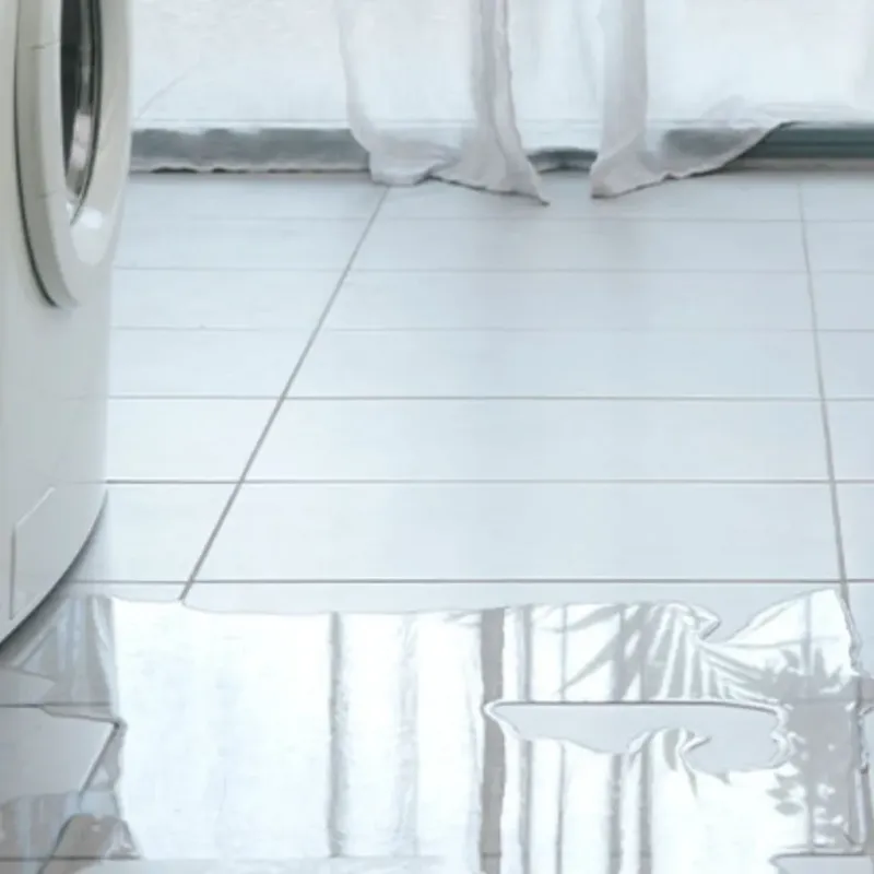 Appliance Leak Cleanup in South Houston, TX