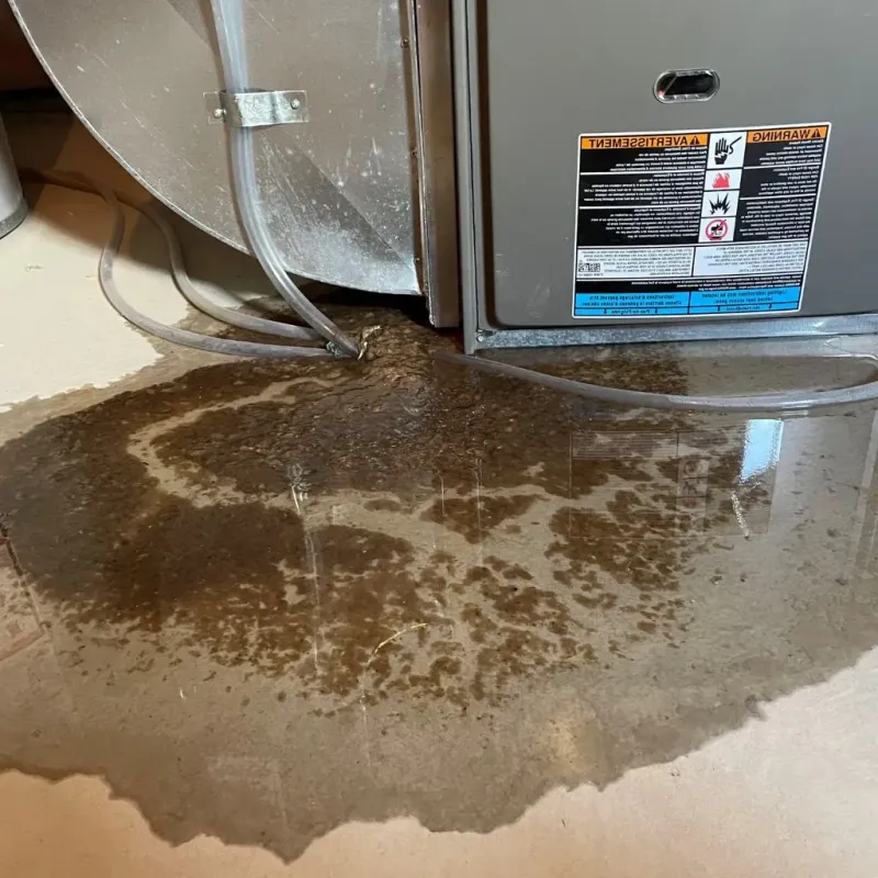 Pipe Burst and Leak Restoration in South Houston, TX